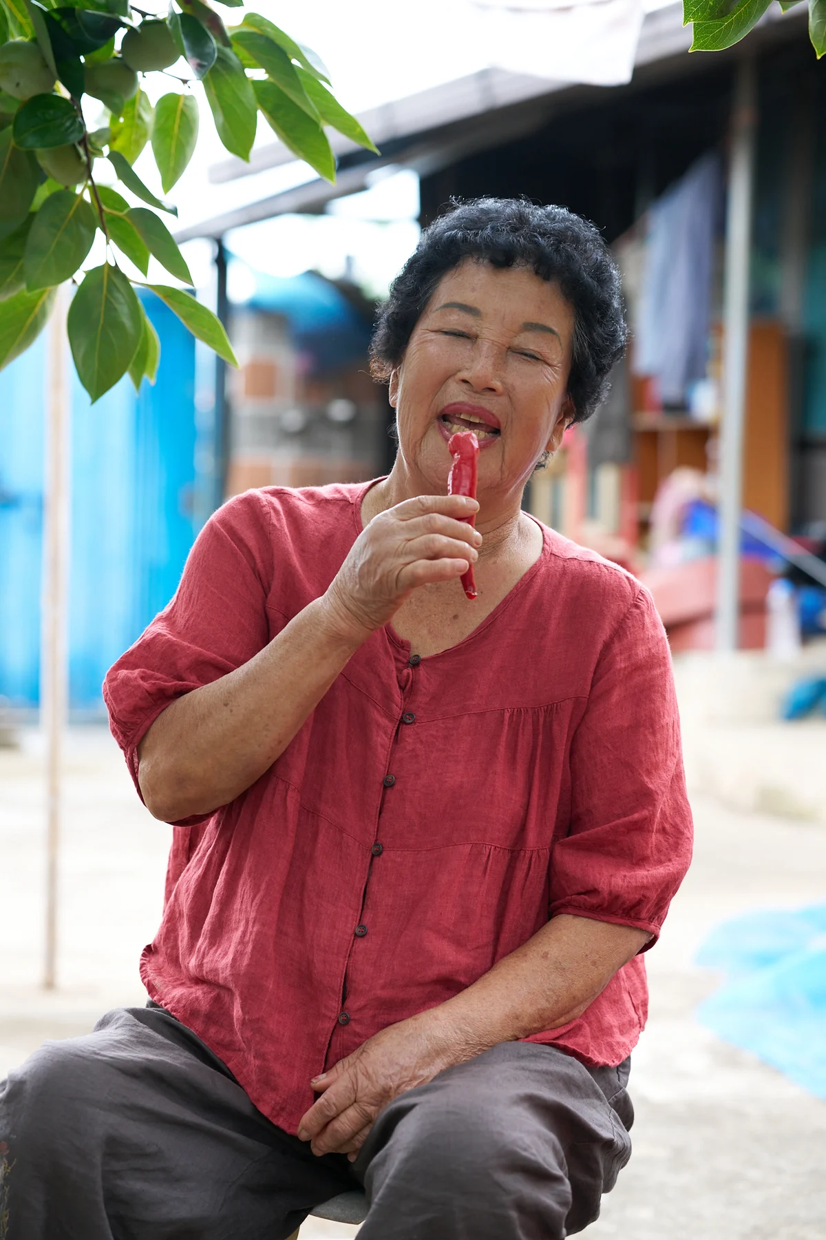 지우 할머니 촬영 사진 3