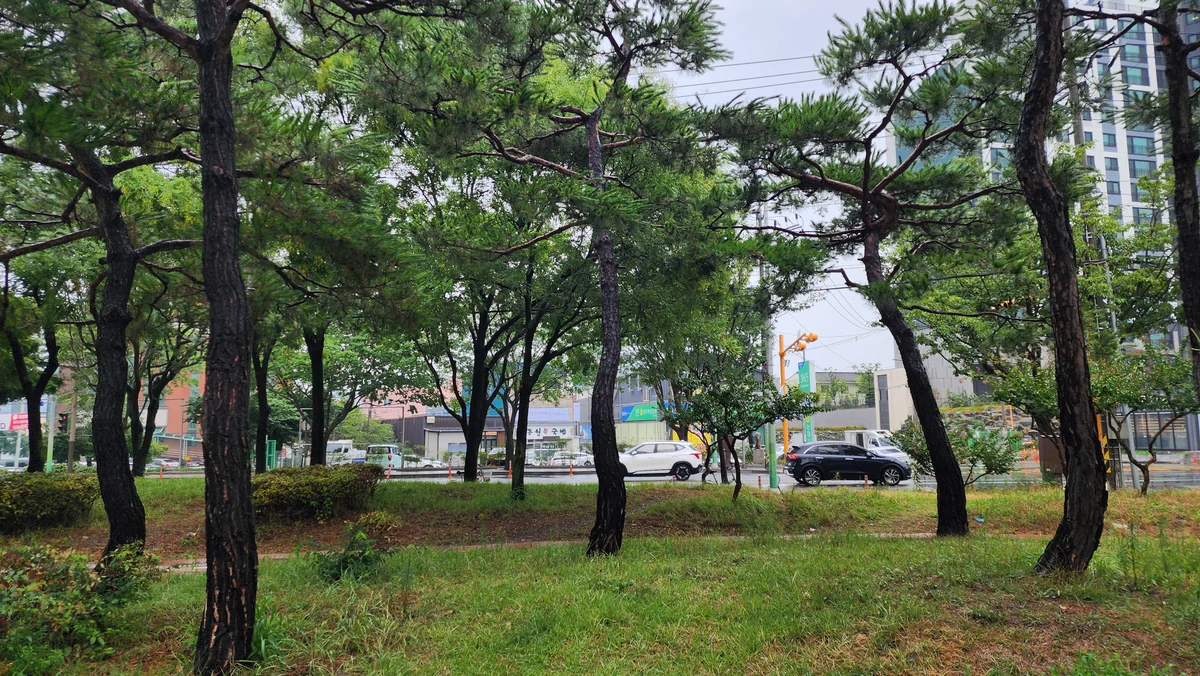 선재 어머니 촬영 사진 5